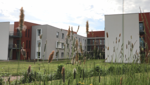 Hôpital de proximité
